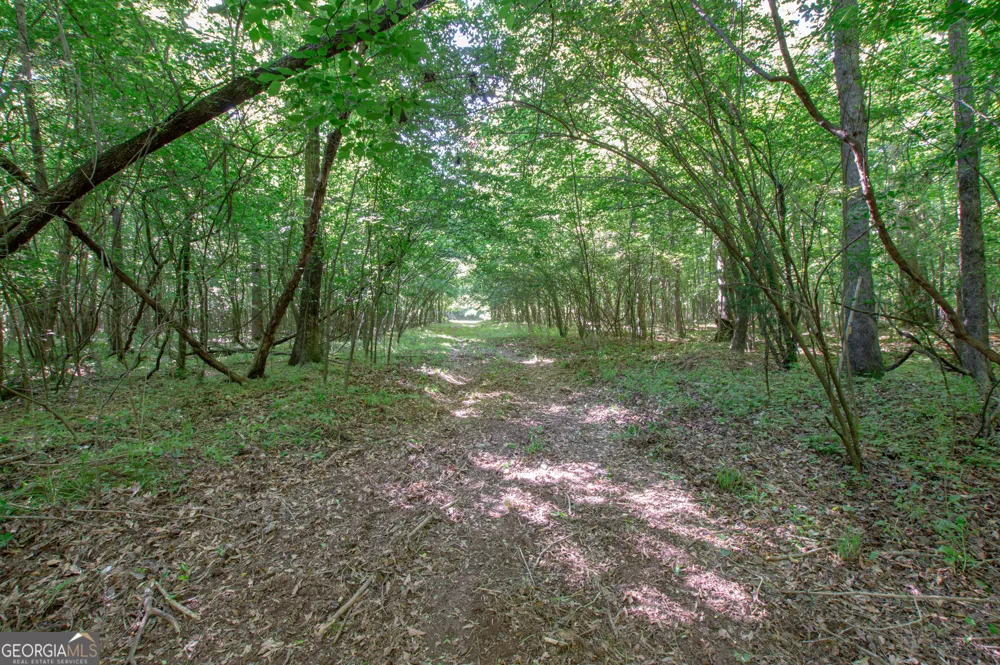 0 Apt-To-Miss RD Monticello, GA 31064