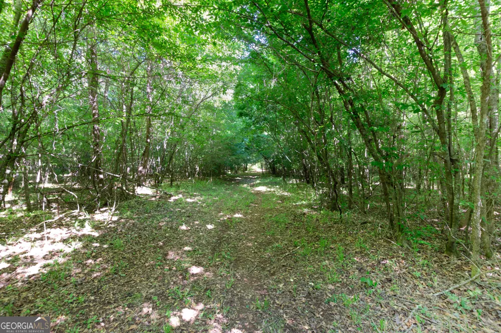 0 Apt-To-Miss RD Monticello, GA 31064