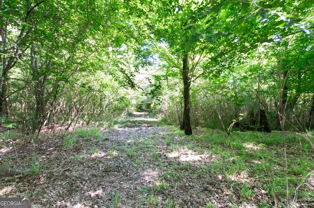 0 Apt-To-Miss RD Monticello, GA 31064