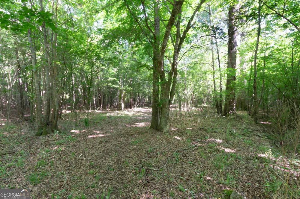 0 Apt-To-Miss RD Monticello, GA 31064