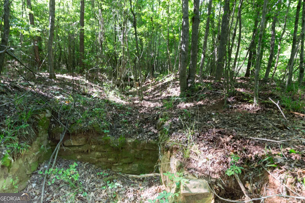 0 Apt-To-Miss RD Monticello, GA 31064
