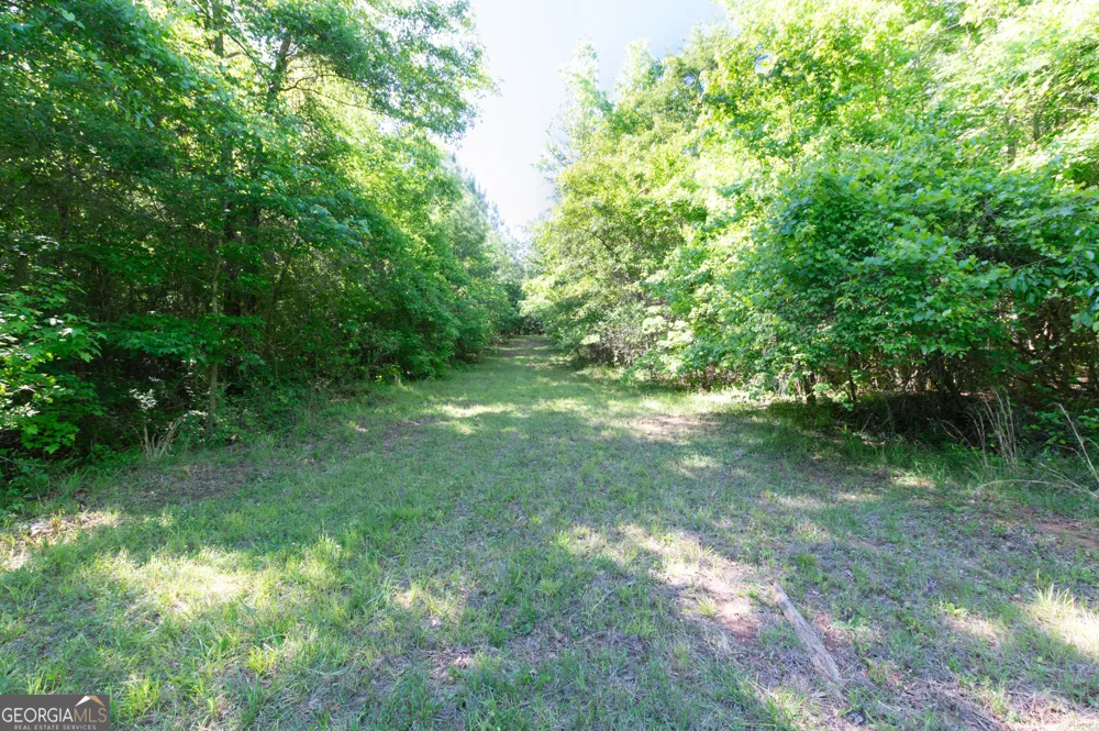0 Apt-To-Miss RD Monticello, GA 31064