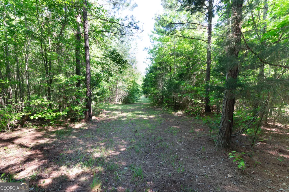 0 Apt-To-Miss RD Monticello, GA 31064