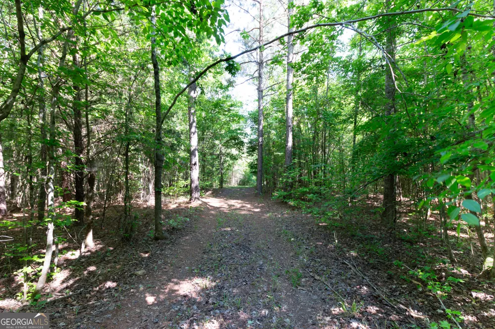 0 Apt-To-Miss RD Monticello, GA 31064