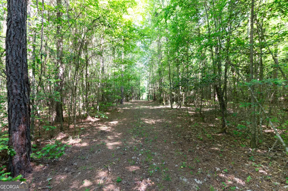 0 Apt-To-Miss RD Monticello, GA 31064