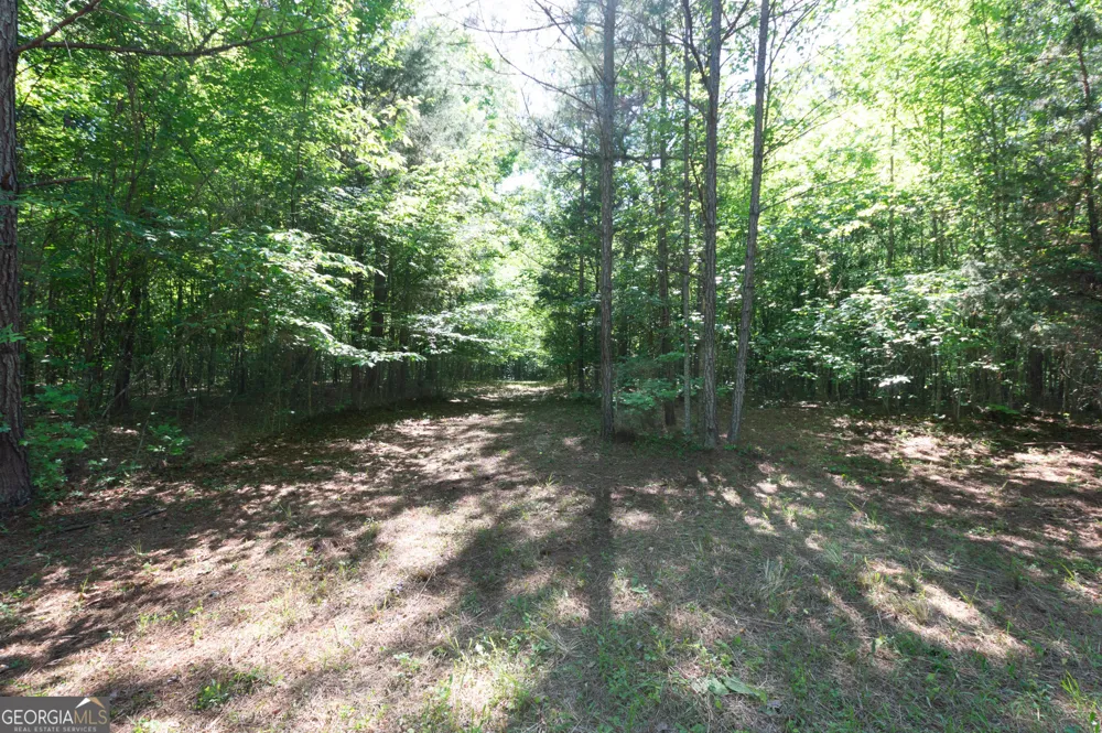 0 Apt-To-Miss RD Monticello, GA 31064