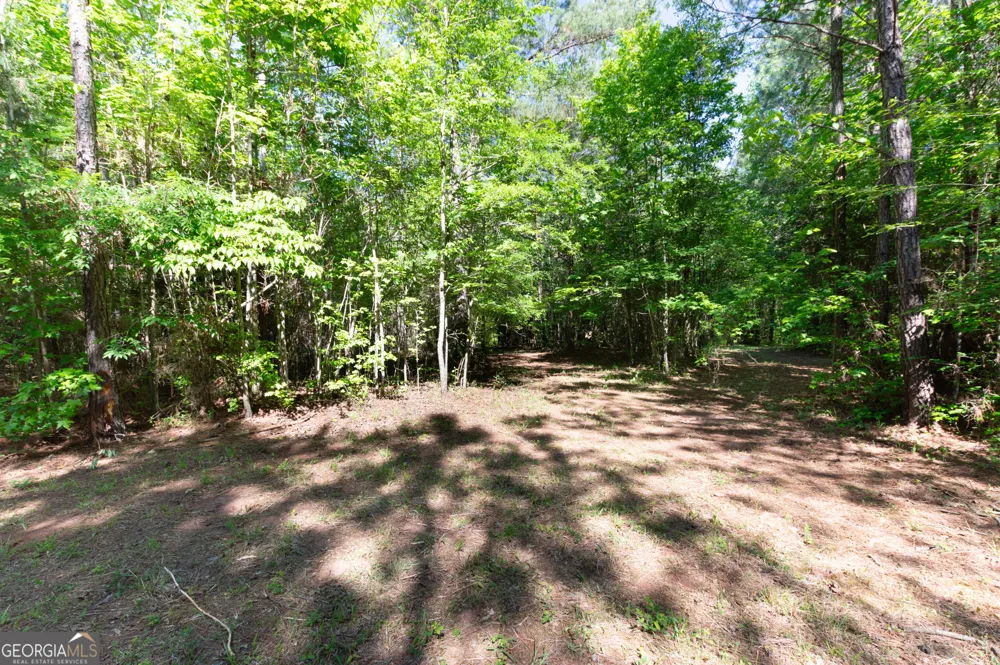 0 Apt-To-Miss RD Monticello, GA 31064