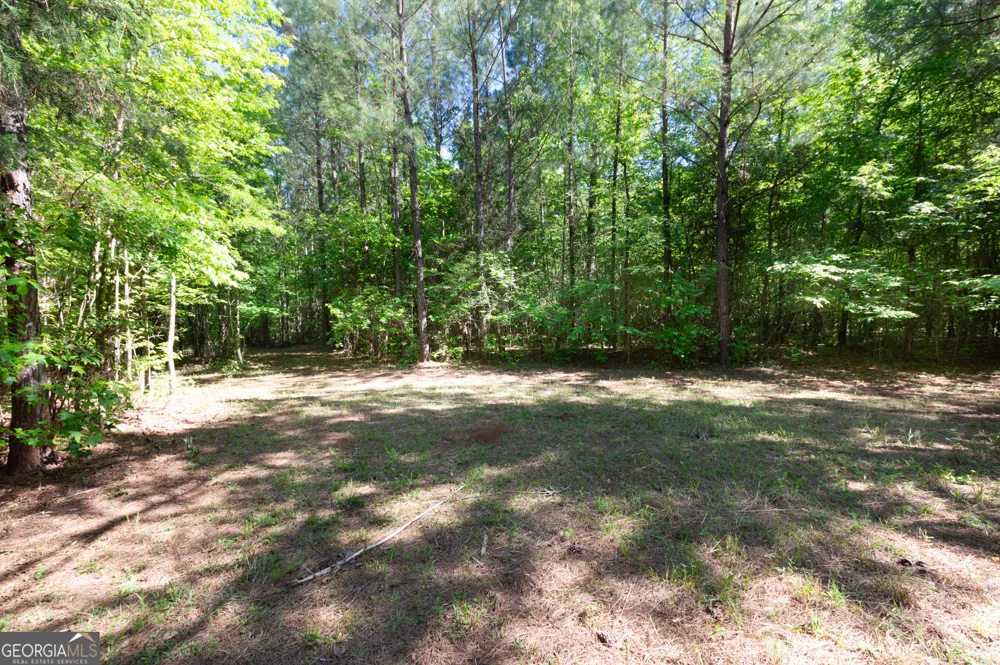 0 Apt-To-Miss RD Monticello, GA 31064