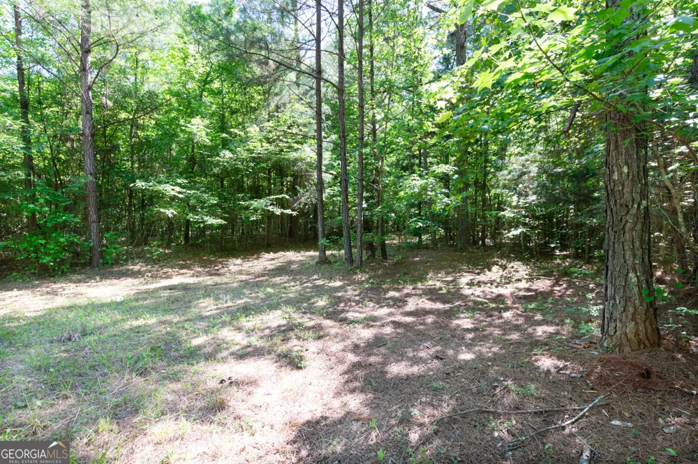 0 Apt-To-Miss RD Monticello, GA 31064