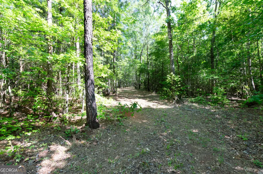 0 Apt-To-Miss RD Monticello, GA 31064