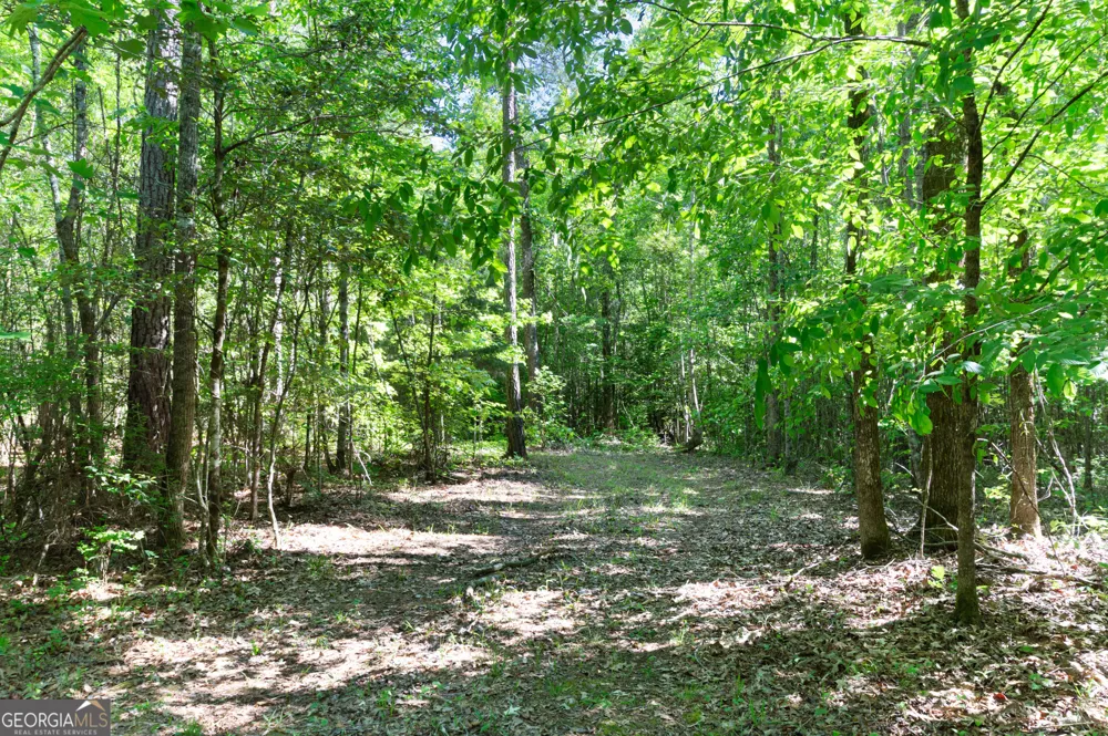 0 Apt-To-Miss RD Monticello, GA 31064