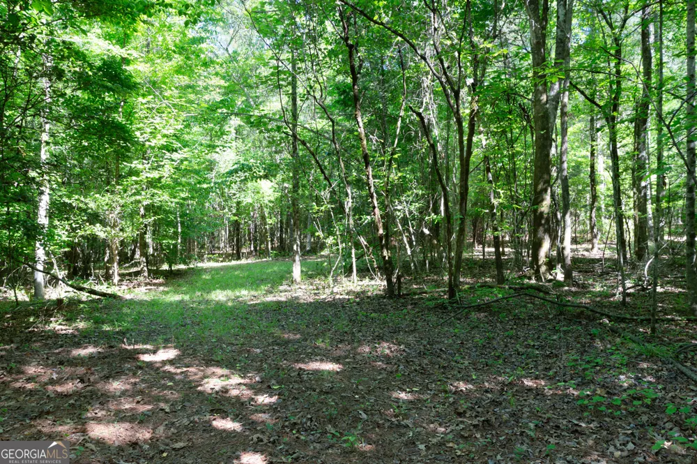 0 Apt-To-Miss RD Monticello, GA 31064