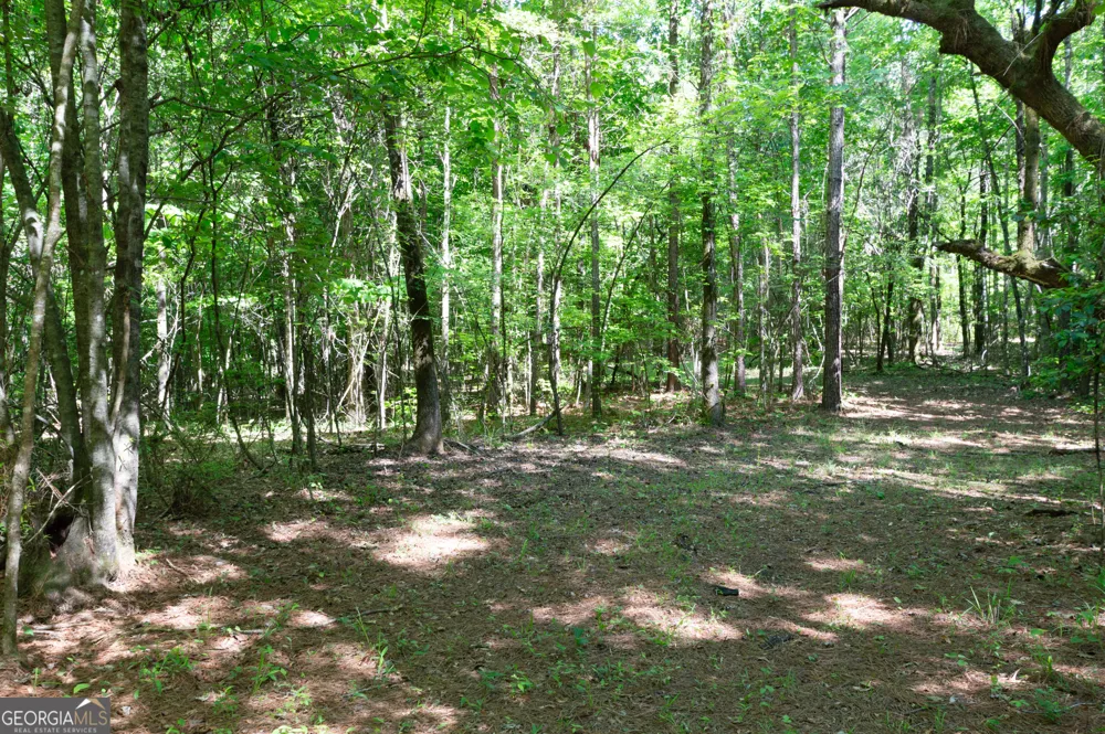 0 Apt-To-Miss RD Monticello, GA 31064