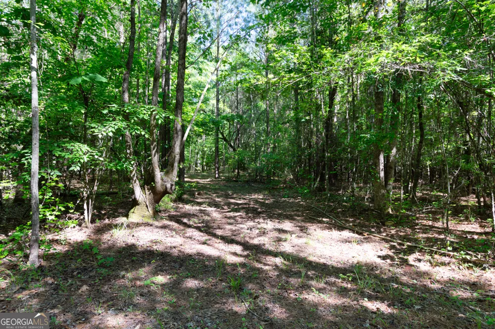 0 Apt-To-Miss RD Monticello, GA 31064