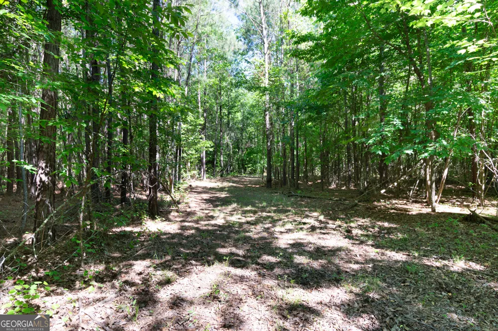 0 Apt-To-Miss RD Monticello, GA 31064
