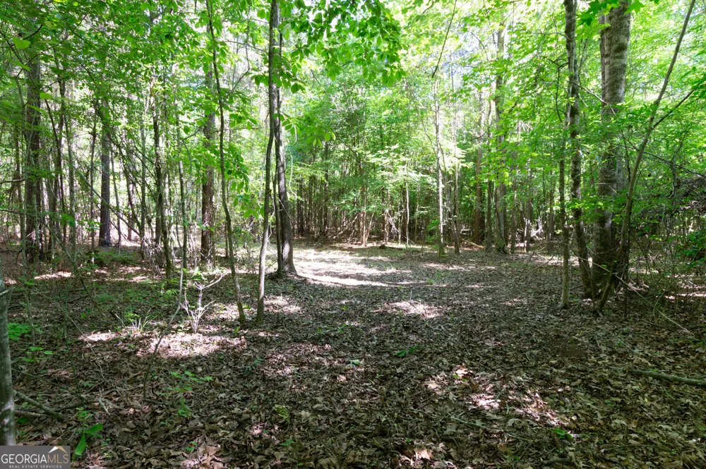 0 Apt-To-Miss RD Monticello, GA 31064