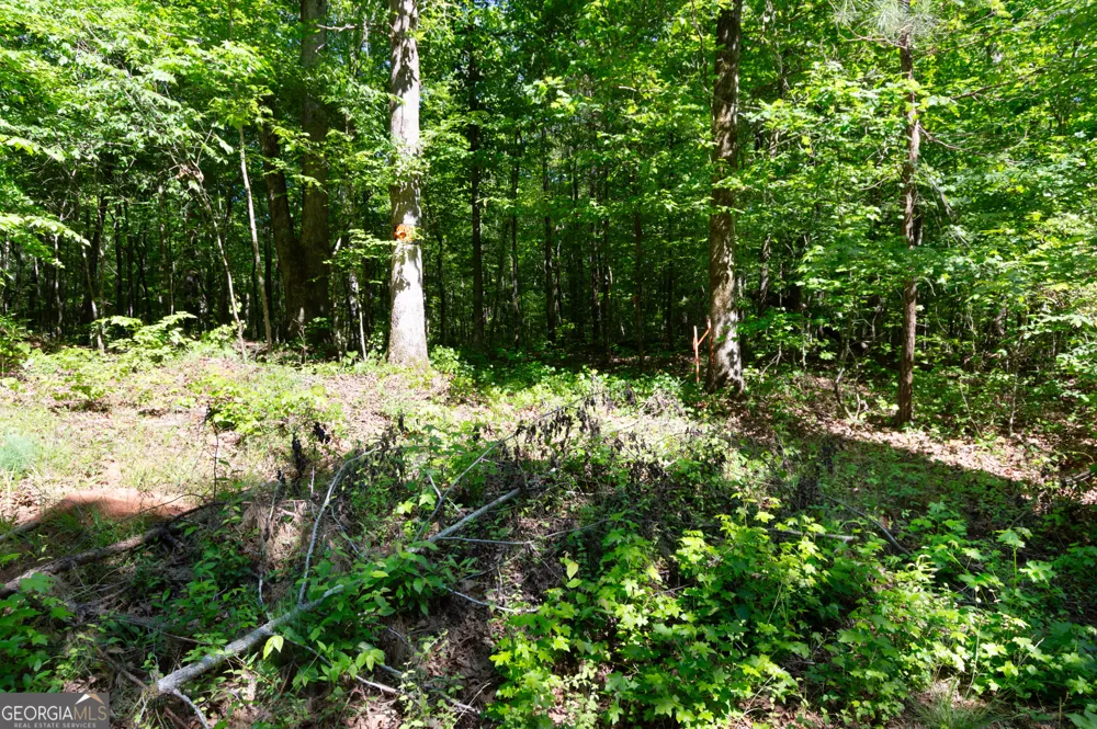 0 Apt-To-Miss RD Monticello, GA 31064