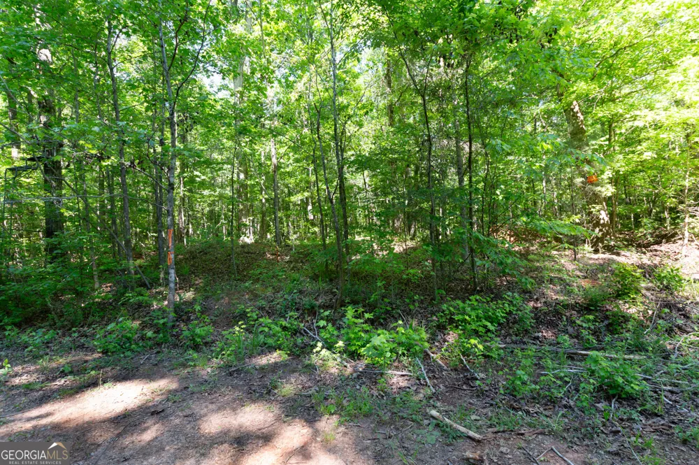 0 Apt-To-Miss RD Monticello, GA 31064