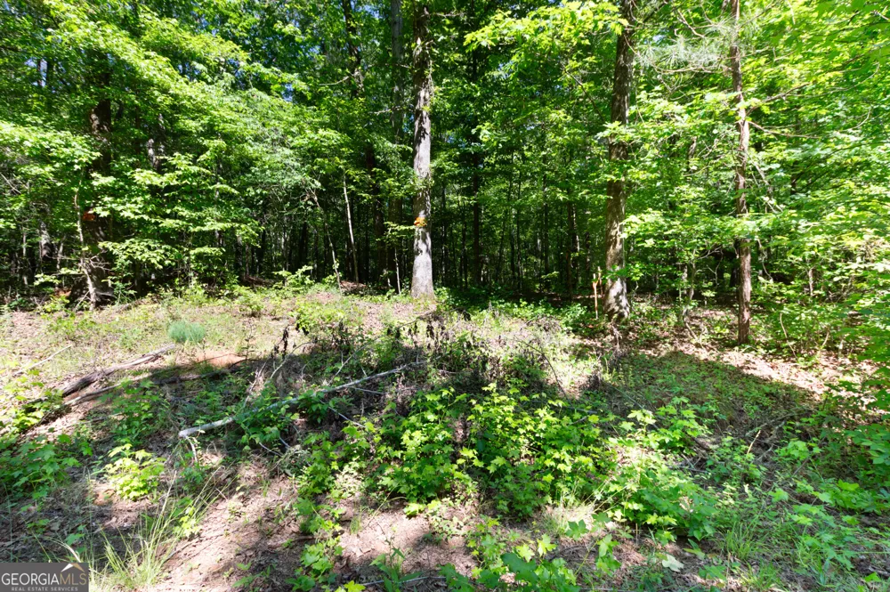 0 Apt-To-Miss RD Monticello, GA 31064