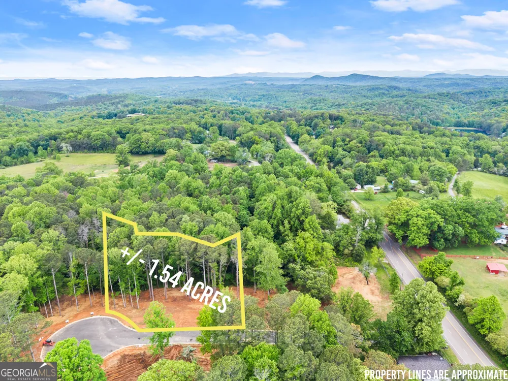 LOT 6 Lowe LN Talking Rock, GA 30175