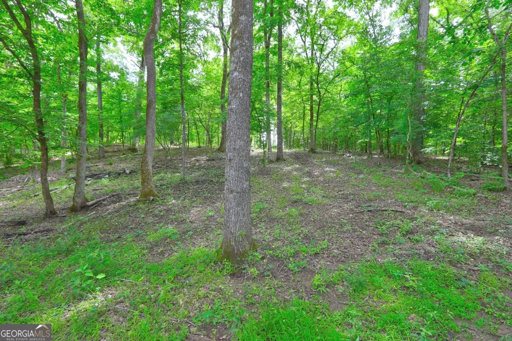 432 River Oak DR Eatonton, GA 31024
