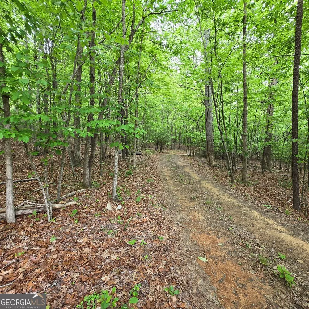 3.5ACRE Dusty TRL Morganton, GA 30560