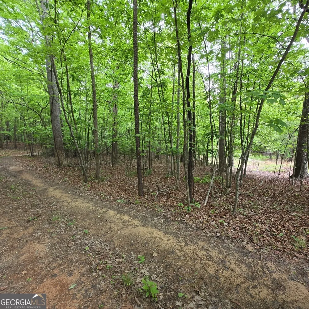 3.5ACRE Dusty TRL Morganton, GA 30560