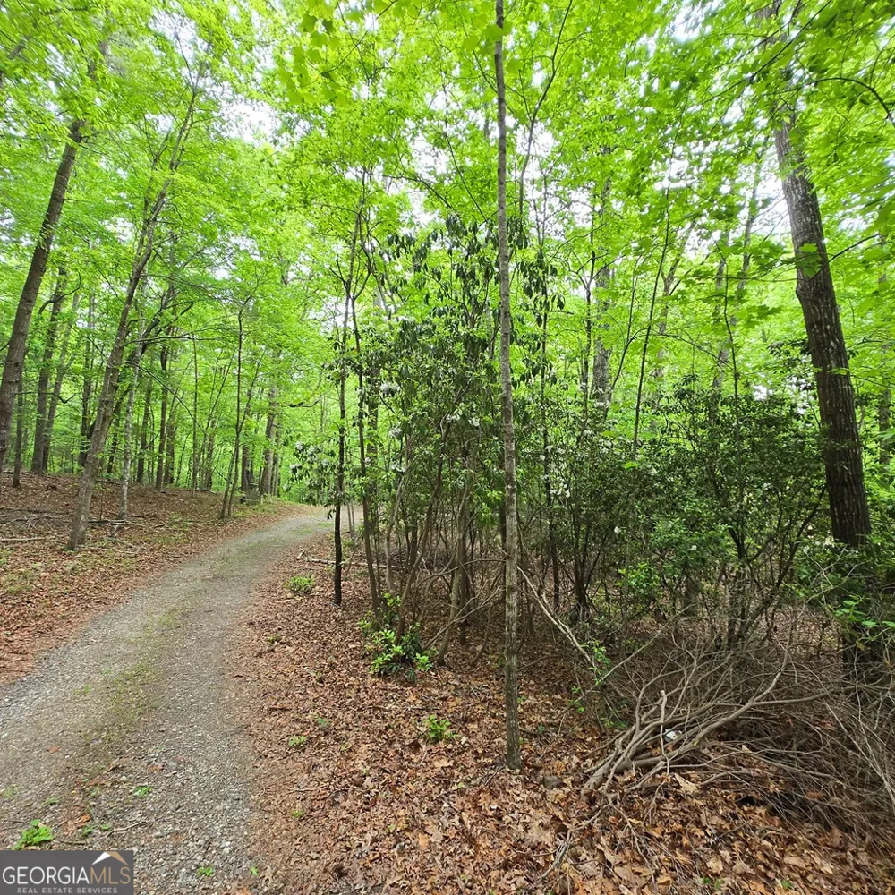 3.5ACRE Dusty TRL Morganton, GA 30560