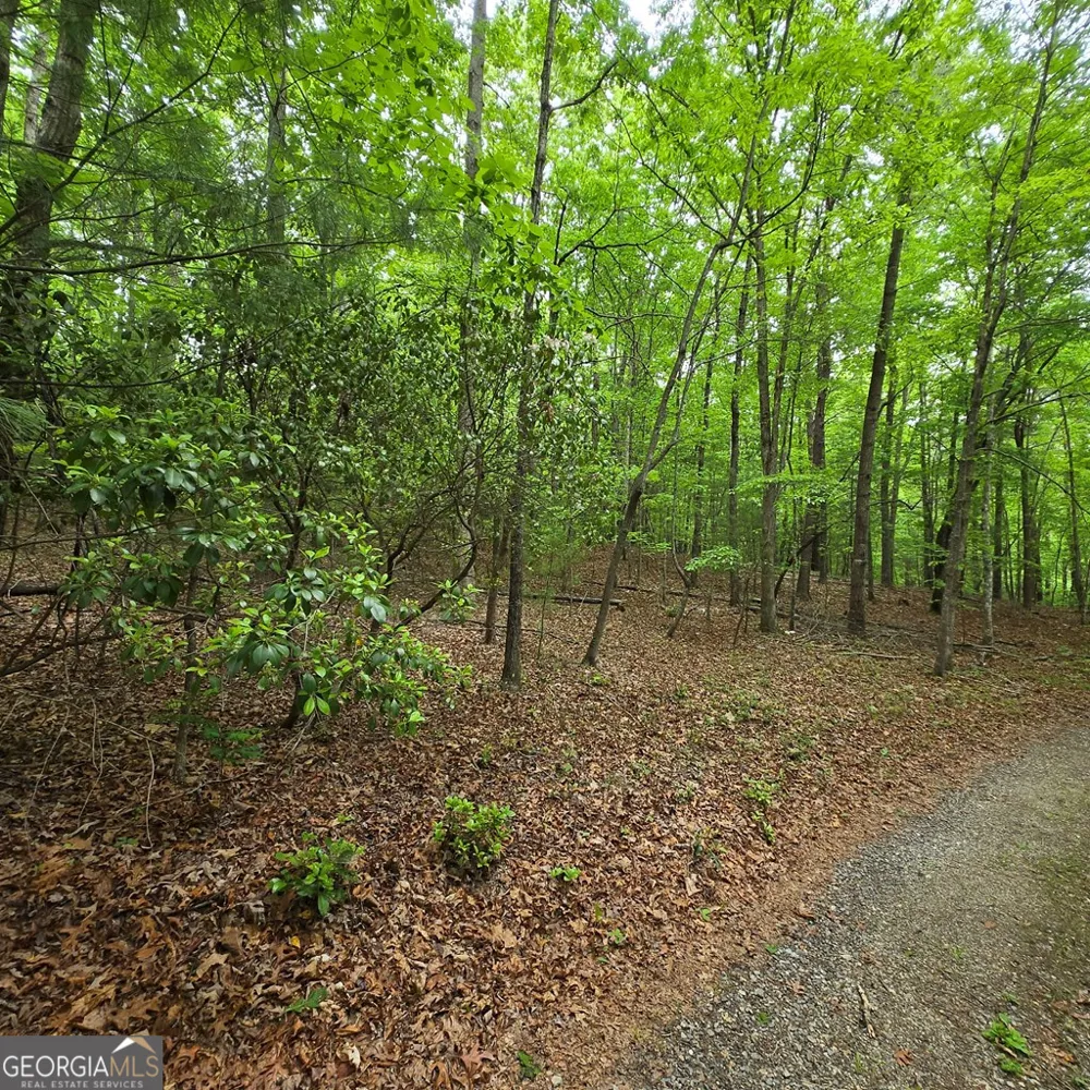 3.5ACRE Dusty TRL Morganton, GA 30560