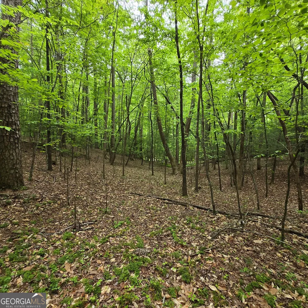 3.5ACRE Dusty TRL Morganton, GA 30560