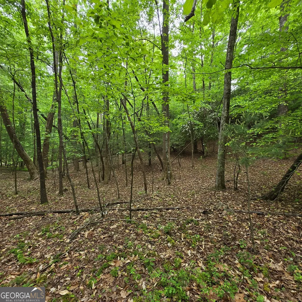 3.5ACRE Dusty TRL Morganton, GA 30560