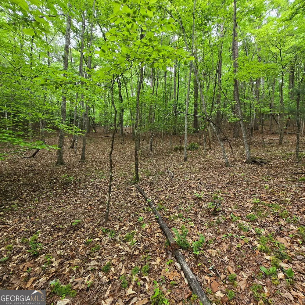 3.5ACRE Dusty TRL Morganton, GA 30560