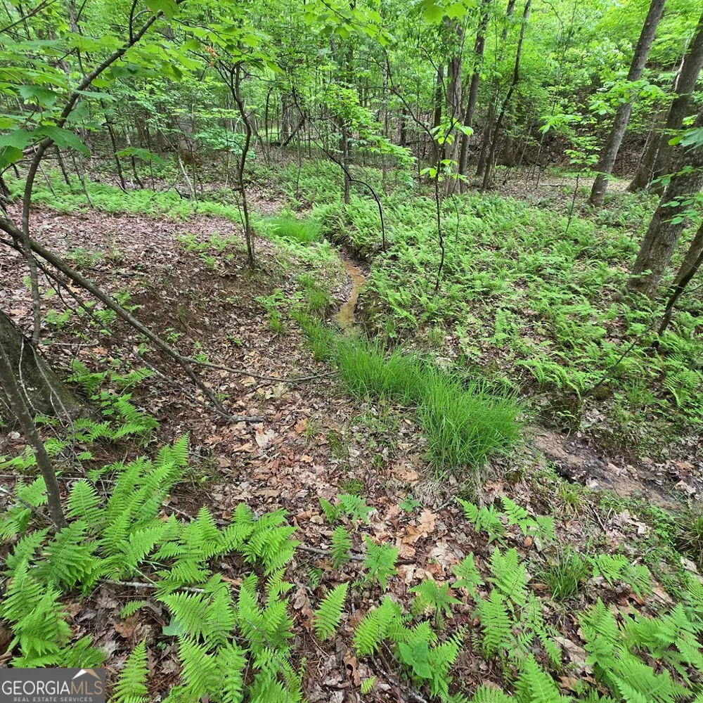 3.5ACRE Dusty TRL Morganton, GA 30560