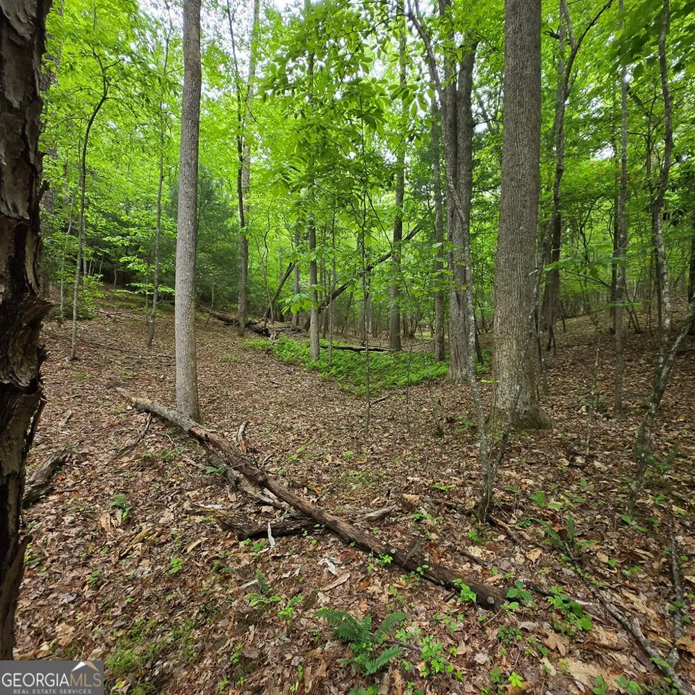 3.5ACRE Dusty TRL Morganton, GA 30560