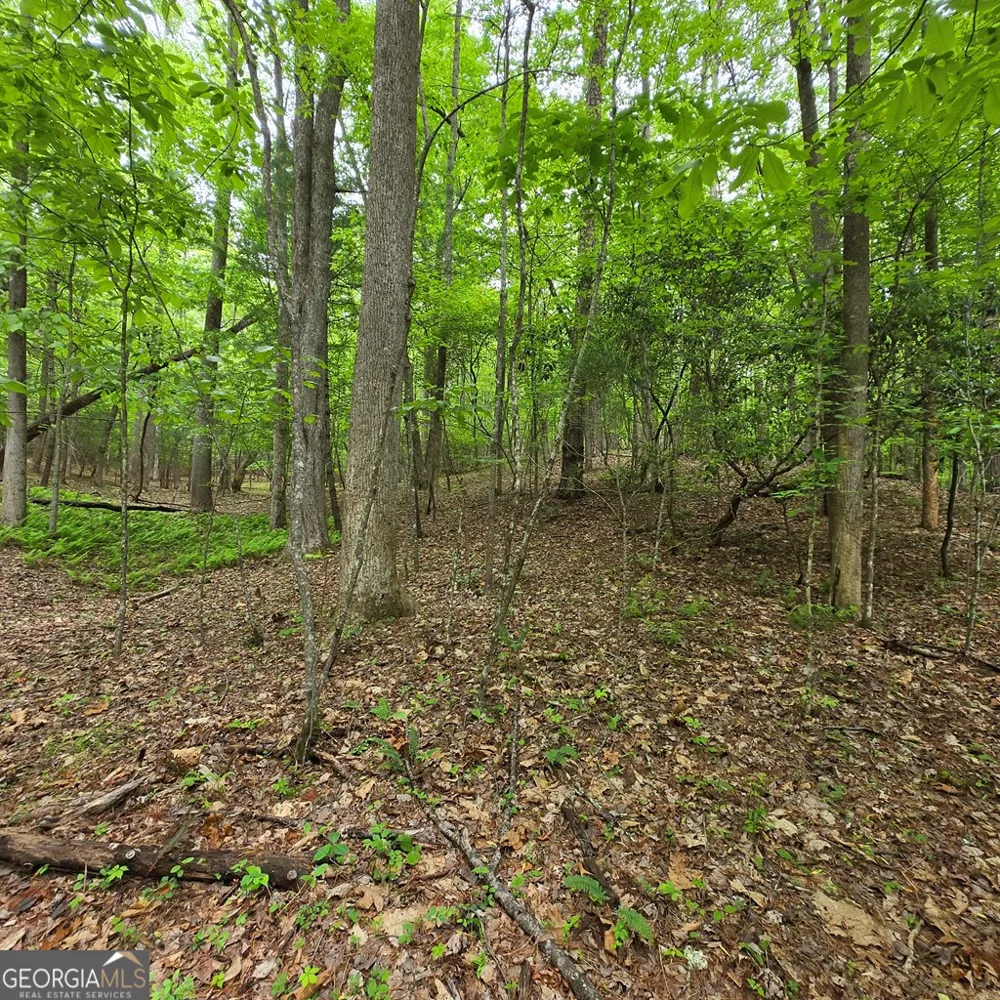 3.5ACRE Dusty TRL Morganton, GA 30560