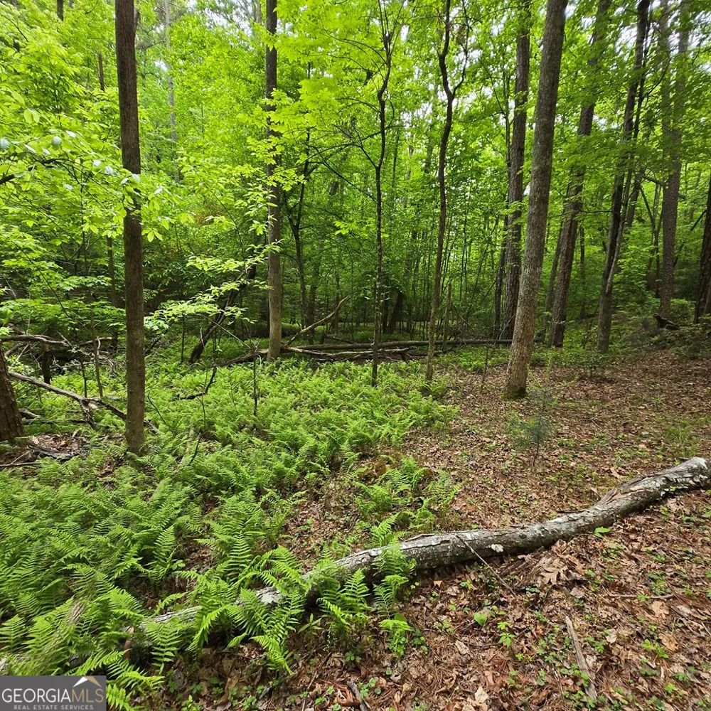 3.5ACRE Dusty TRL Morganton, GA 30560
