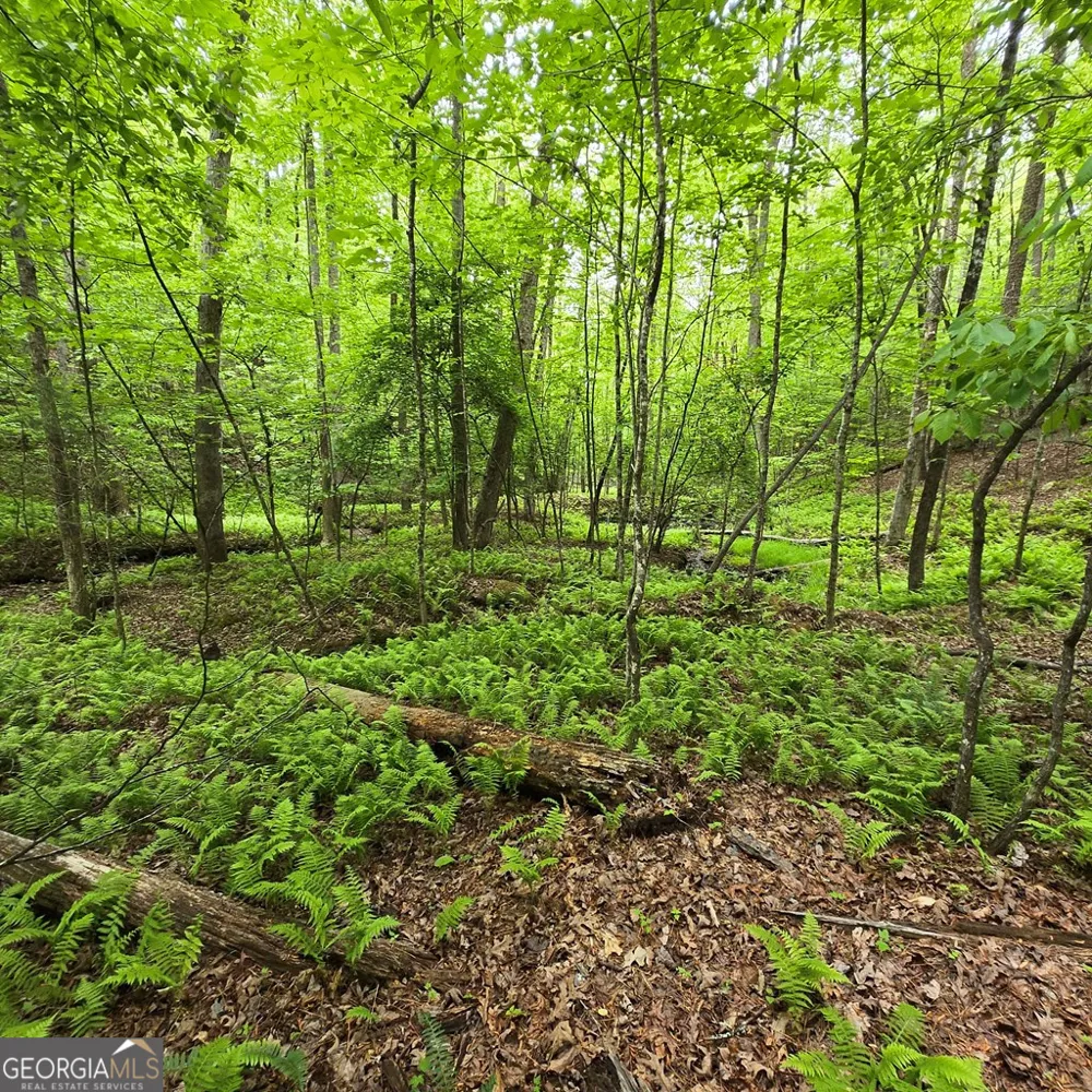 3.5ACRE Dusty TRL Morganton, GA 30560