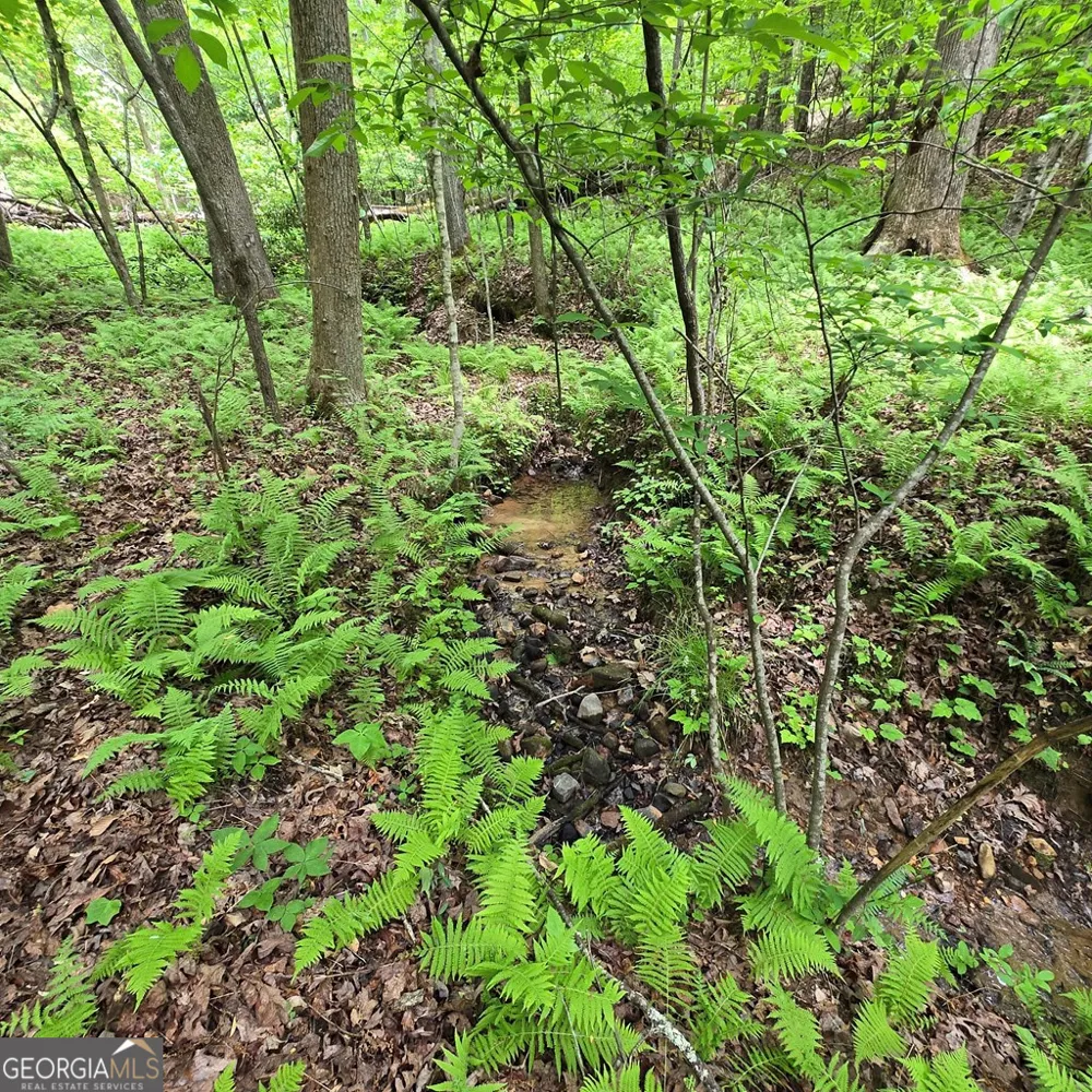 3.5ACRE Dusty TRL Morganton, GA 30560
