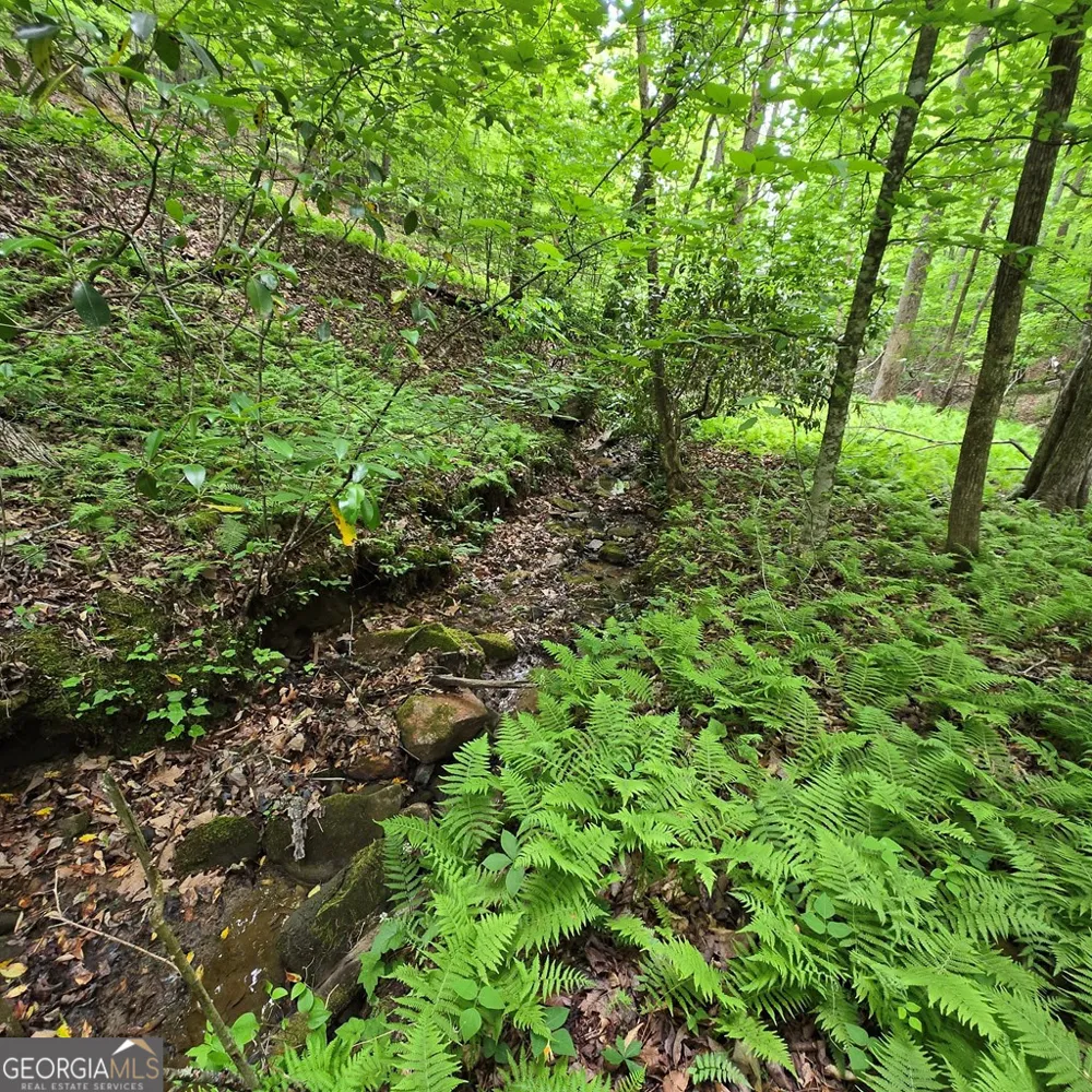 3.5ACRE Dusty TRL Morganton, GA 30560