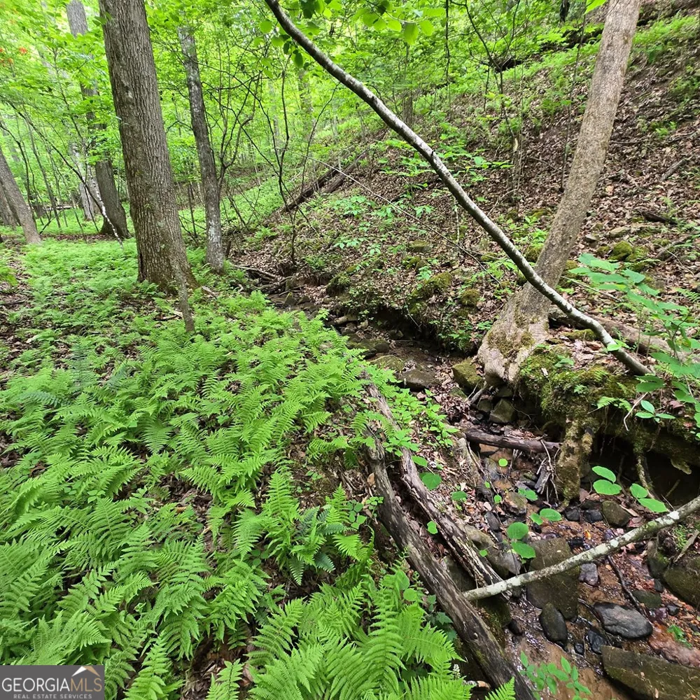 3.5ACRE Dusty TRL Morganton, GA 30560