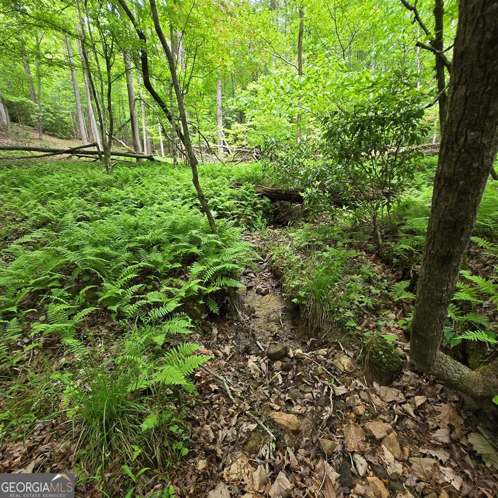 3.5ACRE Dusty TRL Morganton, GA 30560