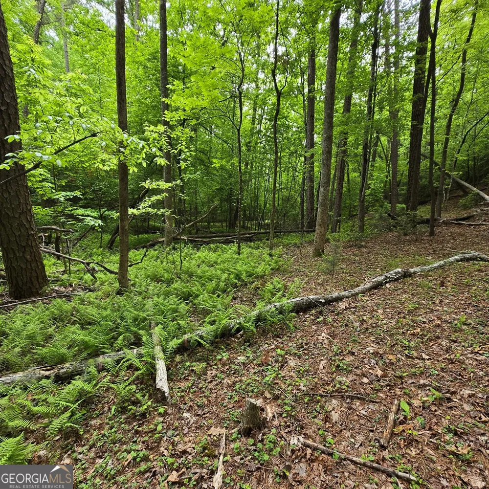 3.5ACRE Dusty TRL Morganton, GA 30560