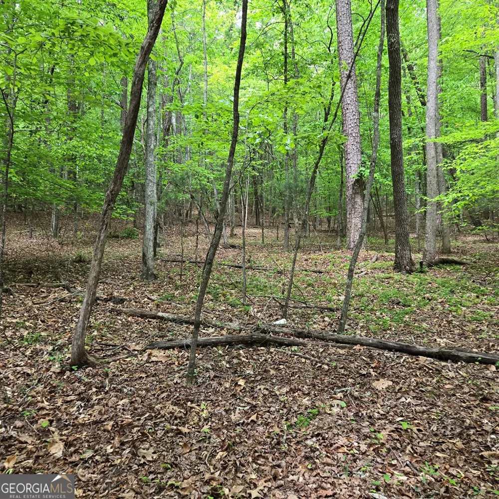 3.5ACRE Dusty TRL Morganton, GA 30560