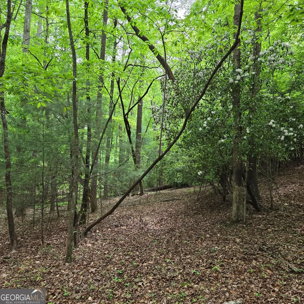 3.5ACRE Dusty TRL Morganton, GA 30560