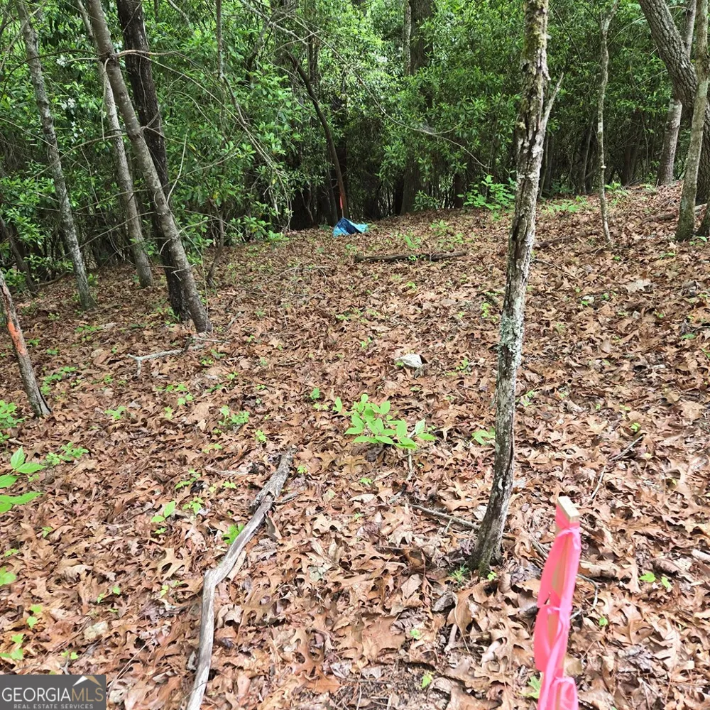 3.5ACRE Dusty TRL Morganton, GA 30560