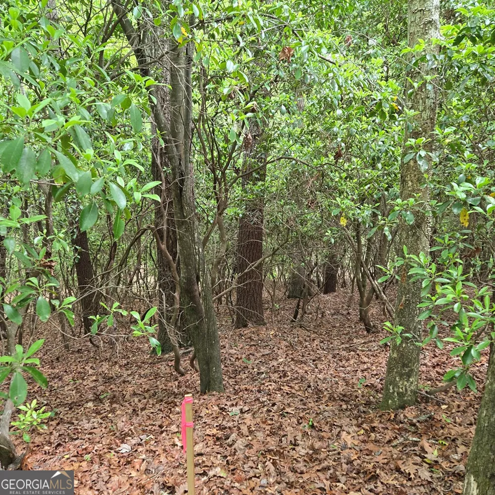 3.5ACRE Dusty TRL Morganton, GA 30560
