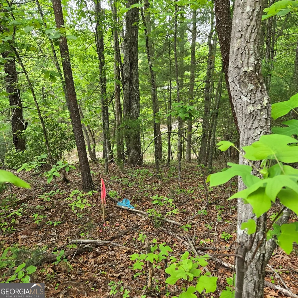 3.5ACRE Dusty TRL Morganton, GA 30560