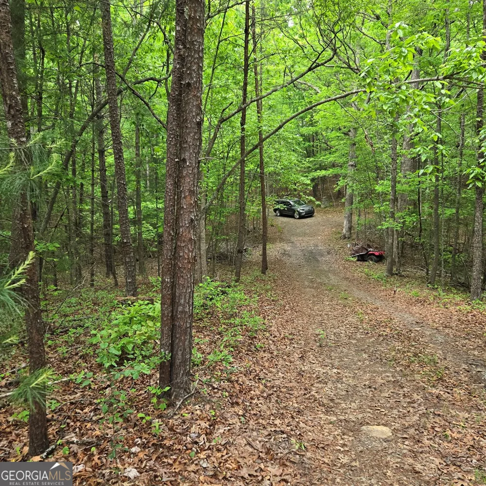 3.5ACRE Dusty TRL Morganton, GA 30560