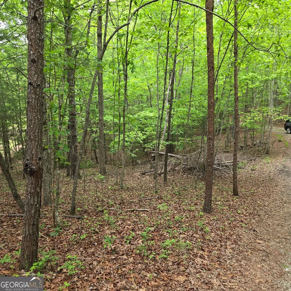3.5ACRE Dusty TRL Morganton, GA 30560