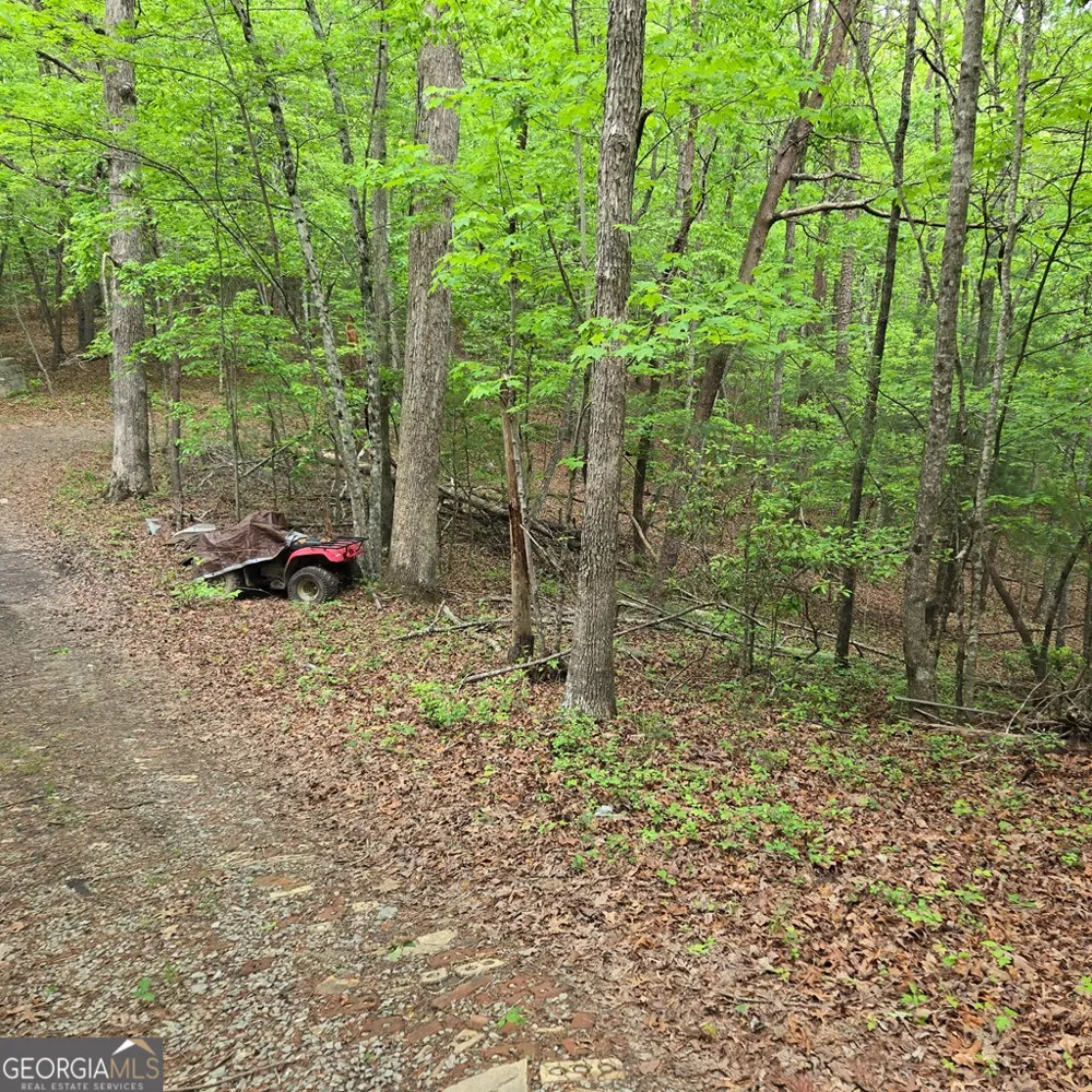3.5ACRE Dusty TRL Morganton, GA 30560